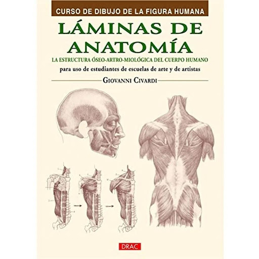 Láminas De Anatomía: La Estructura Óseo-artro-miológica Editorial Del Drac Libro x 1.0 LAMINAS DE ANATOMIA:CURSO DIBUJO FIGURA HUMANA  Guía para comprender y representar la forma del cuerpo humano: Los procedimientos de dibujo Las formas externas Las proporciones El componente óseo El c