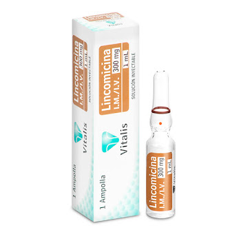 Lincomicina 300mg/1ml Vitalis Caja x 1 Ampolla  