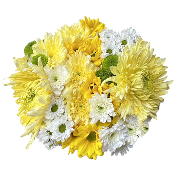 Ramo de Flores El Capiro   Crisantemo Surtido Esperanza x 1 und  