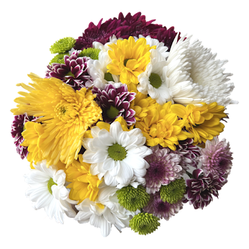 Ramo de Flores El Capiro   Crisantemo Surtido Primavera x 1 und  