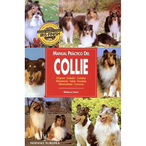 Manual Practico Del Collie Hispano Europea Libro x 1.0 JOVENES VENGADORES: REUNION MUST-HAVE(T.D)(21)  Con un lenguaje sencillo y ameno, y profusamente ilustrado con extraordinarias fotografías, ayuda a los propietarios de un Collie a conocer y cuidar su 