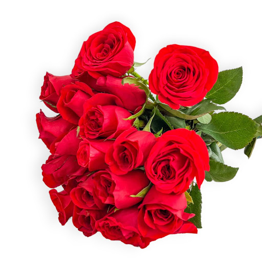 Docena De Rosas Colores Surtidos x 1 und