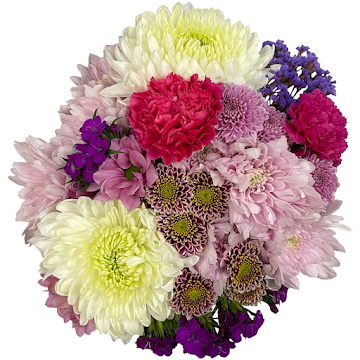 Ramo de Flores El Capiro Día De La Madre Crisantemos y Claveles x 1 und  