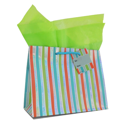 Bolsa De Regalo Mediana Surtida x 1 und