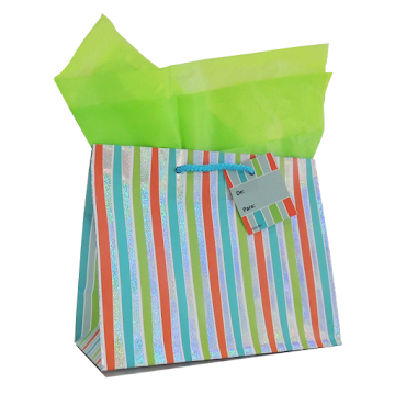 Bolsa De Regalo Mediana Surtida x 1 und  