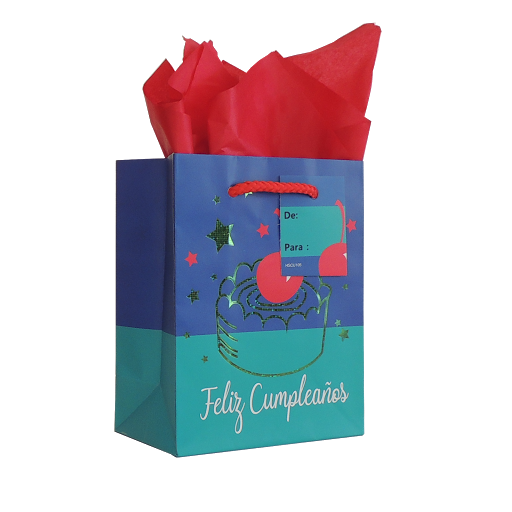 Bolsa De Regalo Pequena Surtida x 1 und
