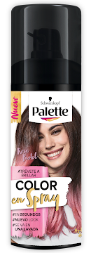 Tinte En Spray Palette  undefined
