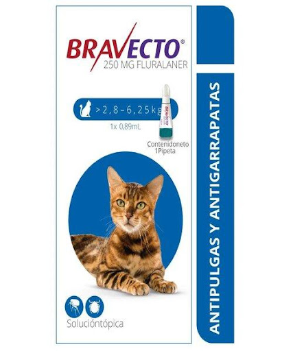 BRAVECTO F Spot 2.8 - 6.25 KG MSD  x 1 Solución tópica (Spot On) para el control de pulgas, garrapatas y acaros de los oidos en gatos por 12 semanas.