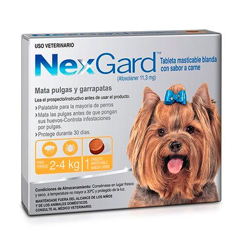 NEXGARD C 2-4 KG Boehringer  x 1 