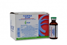 Solo Online Tiamina 100 Mg/10ml 12   Amp 