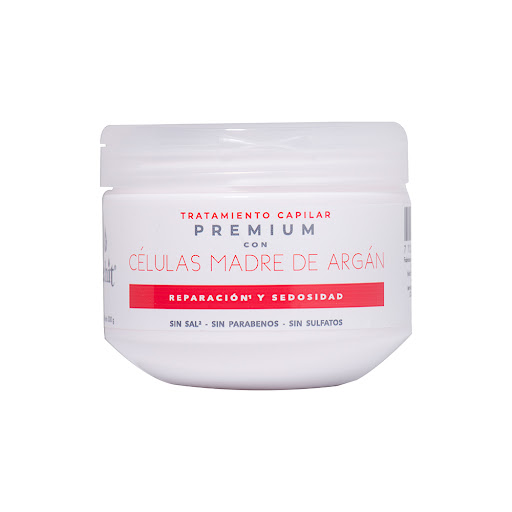 Tratamiento Capilar Lehit Celulas Madres De Argan x 300 gr