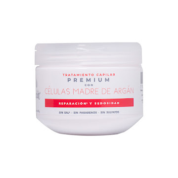 Tratamiento Capilar Lehit Celulas Madres De Argan x 300 gr  