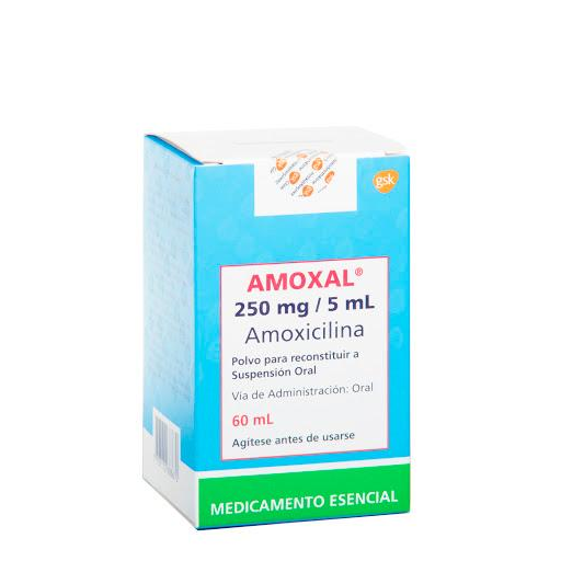 Amoxal Amoxicilina 250mg/5ml GSK Frasco x 60 ml