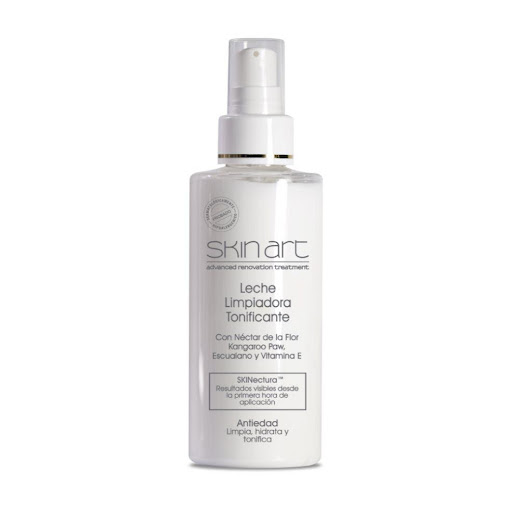 LECHE ANA MARIA LIMPIADORA TONIFICANTE SKIN ART ENVASE X 165 ML ANA MARIA  x 1 UND  