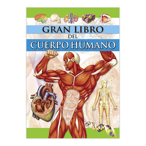 El Gran Libro Del Cuerpo Humano Ediciones Saldana Libro x 1.0 EL GRAN LIBRO DEL CUERPO HUMANO   Ficha técnica de GRAN LIBRO DEL CUERPO HUMANO Nº de páginas: 160 Editorial: LIBRO DIVO Idioma: CASTELLANO Encuadernación: Tapa dura ISBN: 9788499390000 Año de edición