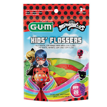 Hilo Dental Gum Flossers   Lady Bug x 20 und  