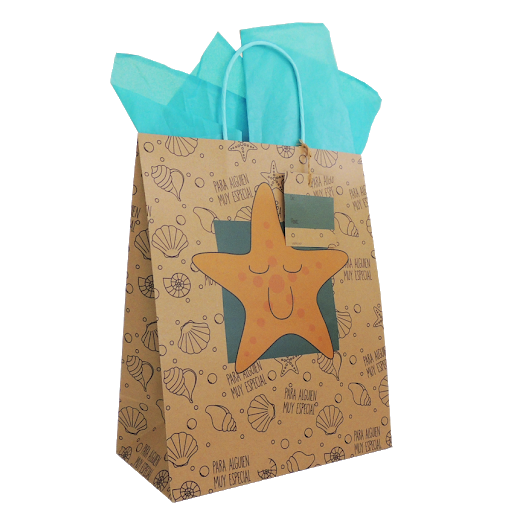 //BOLSA DE REGALO KRAFT BOTELLA  SURTIDA X 1 UND