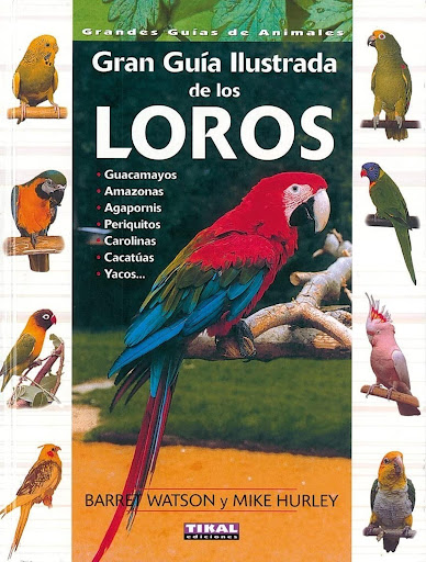 Gran Guía Ilustrada De Los Loros Ediciones Tikal Libro x 1 GRAN GUIA ILUSTRADA LOROS (GRAN GUIA ANIM.)Una colección de guías prácticas, ilustradas con magníficas fotografías a color. Toda la información sobre las distintas especies, sus cuidados, comportamien