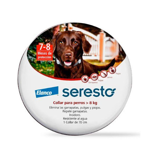 SERESTO COLLAR PERRO MAS 8 KG Elanco  x 1 Seresto ofrece una protección hasta 8 meses contra parásitos externos además de disminuir el riesgo de contraer enfermedades de transmisión vectorial (VBD). Está indicado frente la leishmaniosis hasta