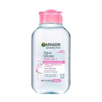 Agua Micelar Garnier Todo En 1 x 100 ml  
