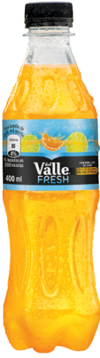 Jugo Del Valle Citrus x 400 ml