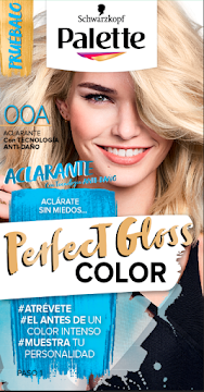 Tinte Palette Perfec   Gloss Artista Aclarante OOA X 1Und                