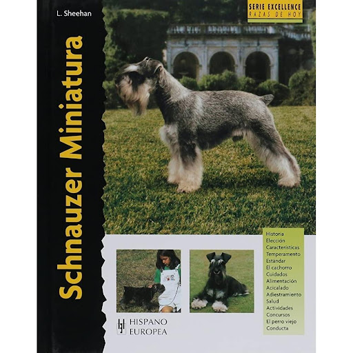 Schnauzer Miniatura. Excellence Hispano Europea Libro x 1.0 SCHNAUZER MINIATURA (EXCELLENCE)   Este perro de compañía es un Schnauzer lleno de estilo en versión miniatura que llama la atención con sus características cejas y bigotes. El Schnauzer Miniatura es 