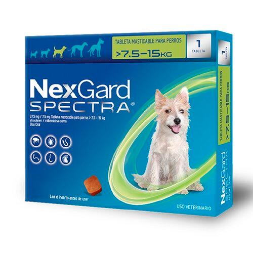 NEXGARD C SPECTRA 7,5-15 KG Boehringer  x 1 En perros para el tratamiento de las infestaciones por pulgas y garrapatas, así como la prevención de la dirofilariosis y/o el tratamiento de infestaciones por nematodos gastrointestinales de las sigu