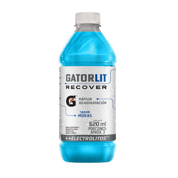 Bebida Energética Gatorlit Moras x 620 ml  