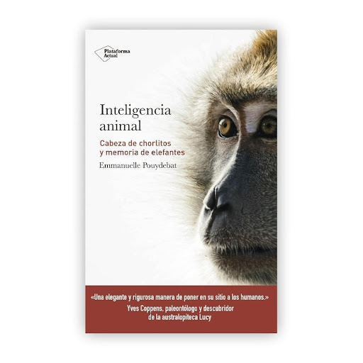Inteligencia Animal Plataforma Libro x 1.0 Inteligencia Animal  Autor Emmanuelle Pouydebat Editorial Plataforma Categoría Zoologia Año 2018 Idioma Español N° páginas 298 Encuadernación Tapa blanda ISBN 9788417114947 N° edición 1  Nadie ignora 