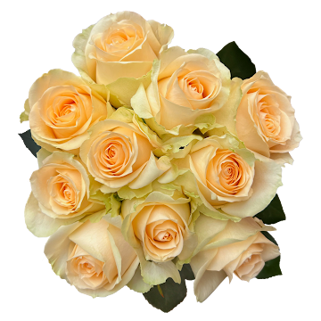 Ramo de Flores El Capiro  undefined