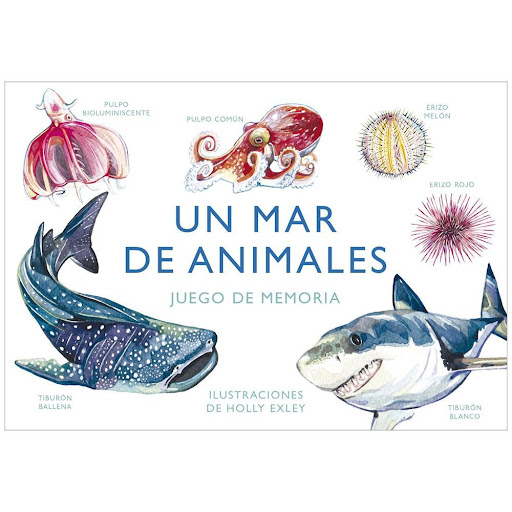 Un Mar De Animales. Juego De Memoria Mtm Editores Libro x 1.0 UN MAR DE ANIMALES (JUEGO DE LA MEMORIA)   Sumérgete en las profundidades ¿Ves al par de frailecillos? ¿Y dos tortugas? ¿El dúo de delfines? Recuerda dónde se esconde cada animal y encuentra las parej