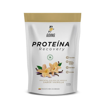Proteína Going Sabor Vainilla Frasco x 600 gr  