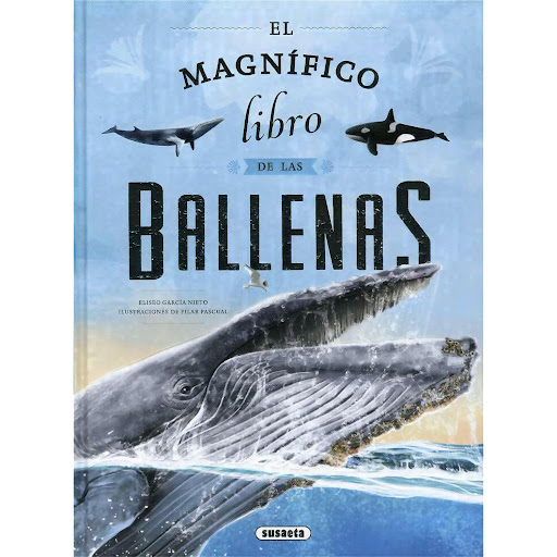 El Magnífico Libro De Las Ballenas (T.D) Susaeta Libro x 1 EL MAGNIFICO LIBRO DE BALLENAS (T.D)Este libro bucea por los mares en los que habitan los cetáceos para descubrir que son animales sociales que cuidan de sus crías y se reúnen, llamados con sus cantos