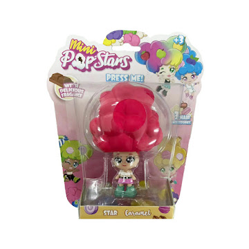 Muñeca Pop Star x 1 und  