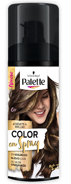 Tinte en Spray Palette   Perfect Gloss Color Oro X 1Und X 120ml          