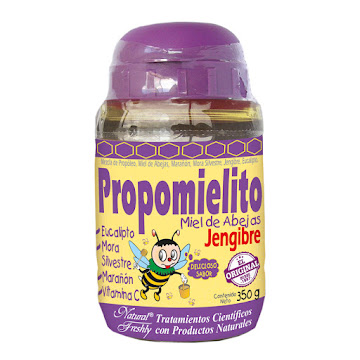 Propomielito Miel y Jengibre Natural Freshly Frasco x 350 gr  
