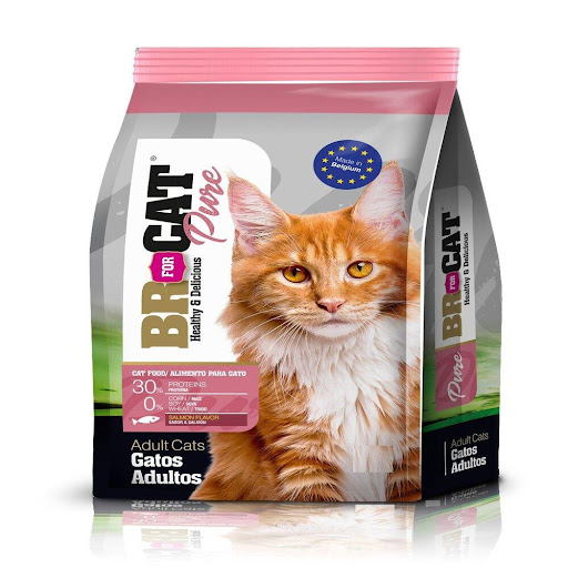 BR F ADULTO SALMON 10 KG BR Alimento seco x 1 