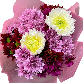 Ramo de Flores El Capiro   Crisantemos Surtido San Valentin x 1 und 