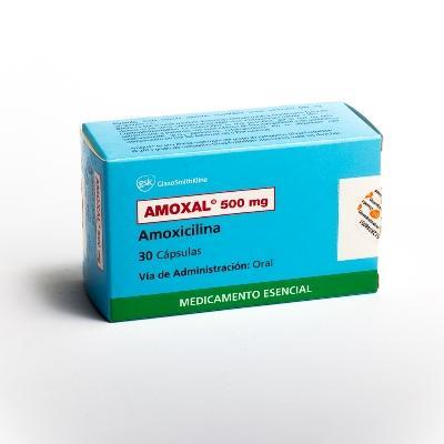 Amoxal Amoxicilina 500 mg GSK Caja x 30 Cápsulas