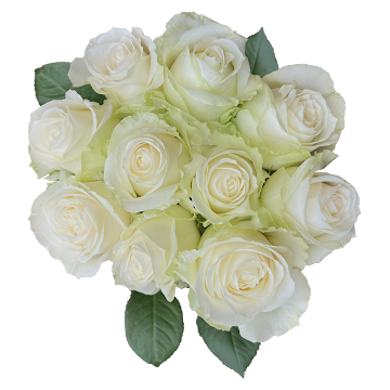 Ramo de Flores El Capiro  undefined