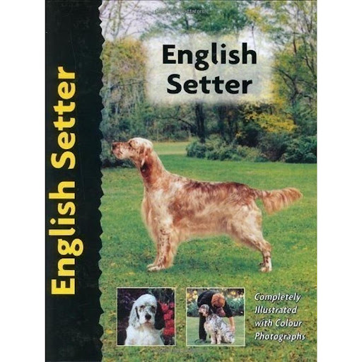 Setter Ingles. Excellence Hispano Europea Libro x 1.0 SETTER INGLES (EXCELLENCE)   Esta nueva obra de la colección"Excellence. Razas de hoy"proporciona la más actual y completa información sobre los orígenes, estándar, temperamentoy características del S