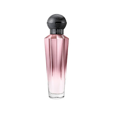 Perfume Shakira Sweet Dream EDT x 50 ml  