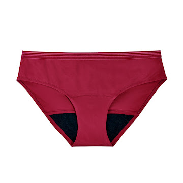 Panty Nosotras Bikini Burgundy Talla S x 1 und  