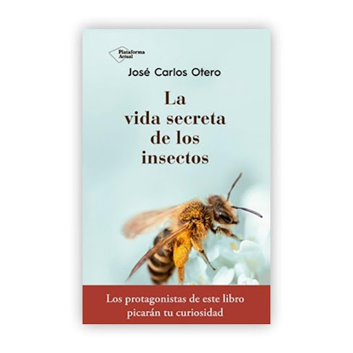 La Vida Secreta De Los Insectos Plataforma Libro x 1.0 La vida secreta de los insectos   José Carlos Otero ISBN: 9788417376789 Páginas: 296 Colección: Actual Formato: Tapa blanda con solapas Año de publicación: 2018    En una ocasión en que J. B. S. Halda