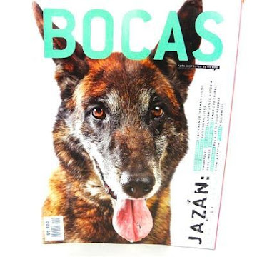 Revista Bocas Bloqueado x 1 und  