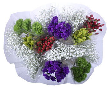 //Ramo de flores Fillers X8Und  