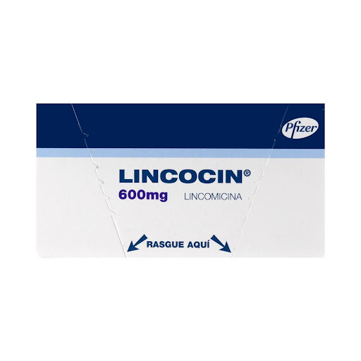 Lincocin Lincomicina 600 mg Pfizer Caja x 5 Viales