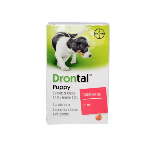 DRONTAL CACHORROS 20ML Elanco  x 1 Drontal Puppy es un antihelmíntico contra nemátodos y guiardias para ser utilizado en cachorros y perros jóvenes, contra los siguientes parásitos: Ascáridos: Toxocara canis, Toxascaris leonina Ancylos