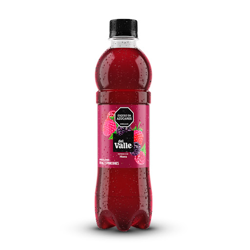 Jugo Del Valle Frutal Mora x 500 ml